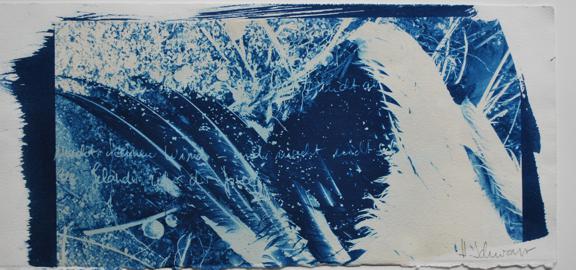 aus der Serie: Grenzen